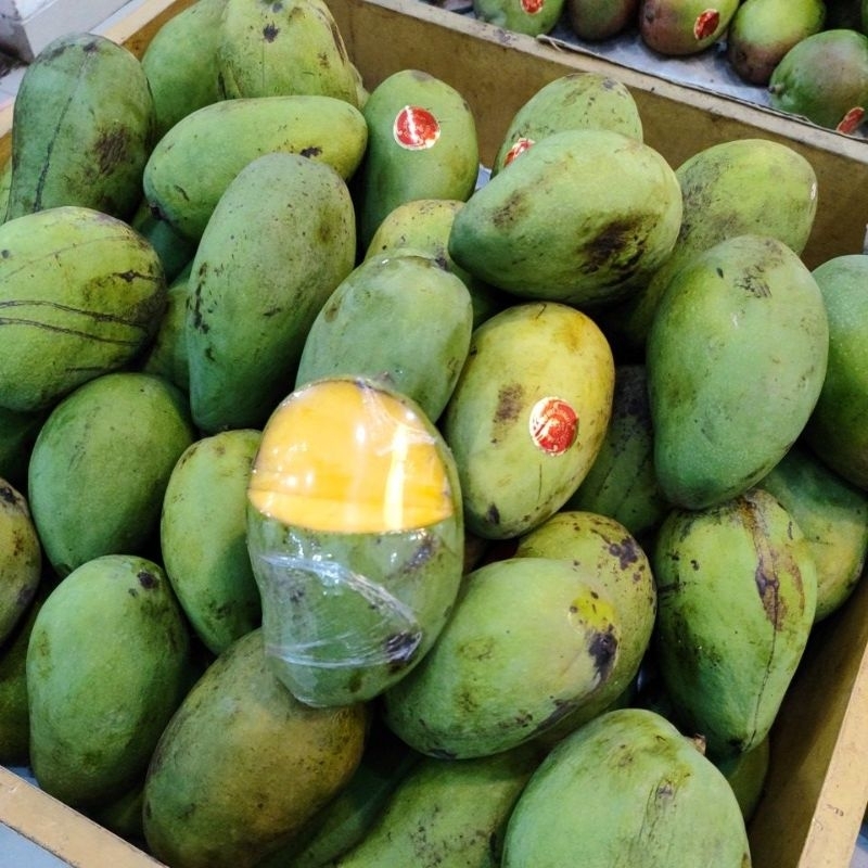 

Mangga Harumanis 1 Kg