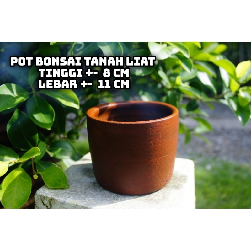 POT tanah liat BUNGA BONSAI estetic