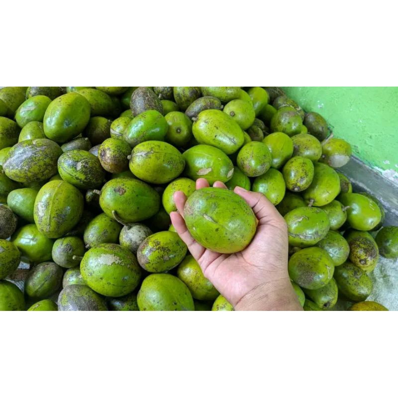 

kedondong isi 10-15 biji perkg