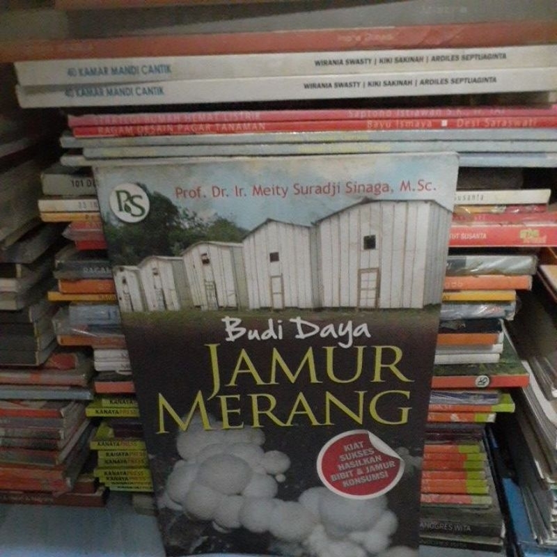 budidaya jamur merangg