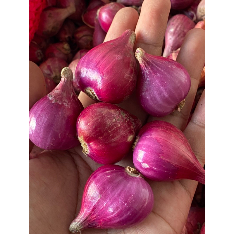 

Brambang brebes / Bawang merah super 1kg