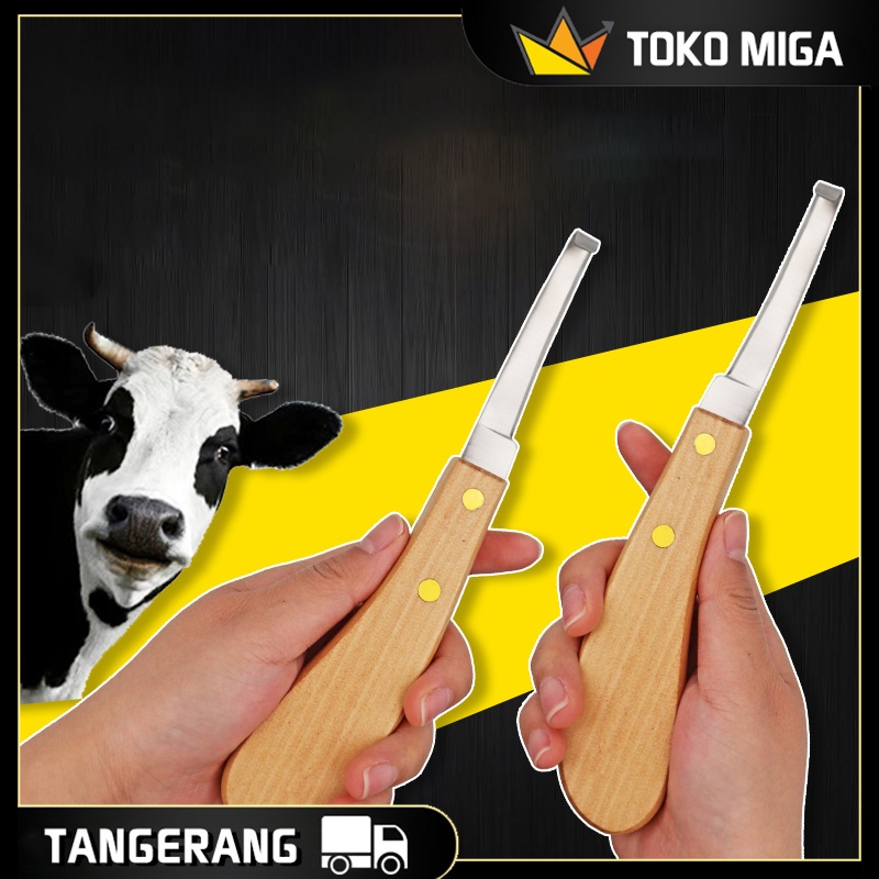 1PCS  Alat Potong Kuku Sapi Stainless Steel Bahan Pisau Potong Kuku Sapi Kualitas Tinggi Pemotong Ku