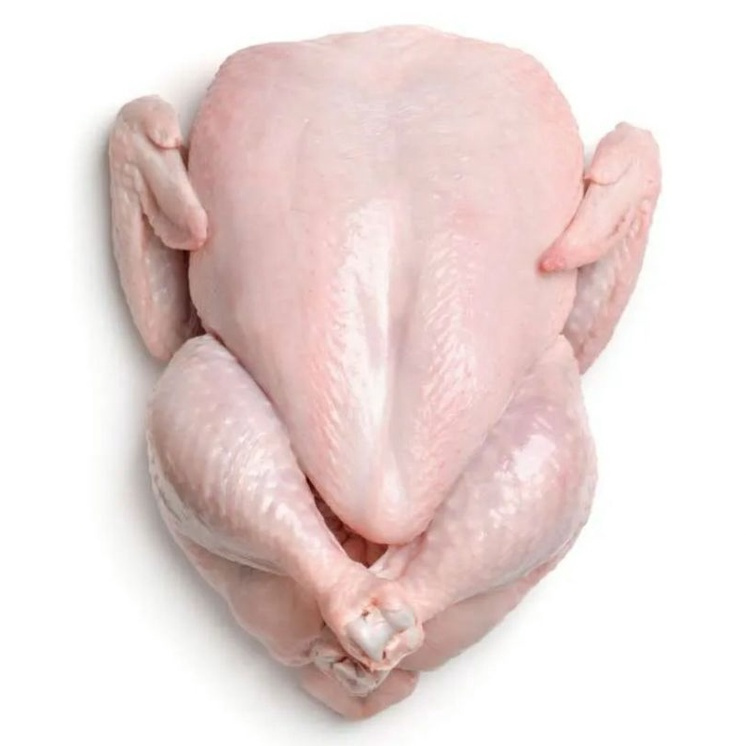 

Ayam Utuh Premium 1.3 kg Chicken Whole Makassar