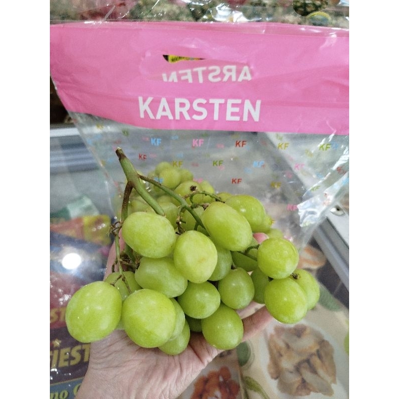 

Anggur Hijau Afrika Karsten