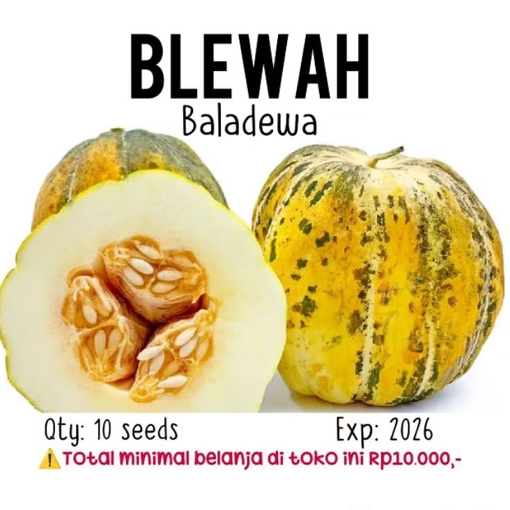 10 Biji - Benih Blewah Baladewa