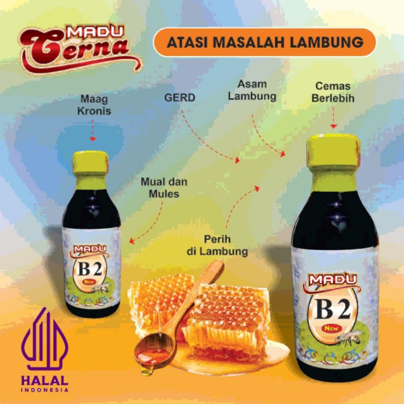 Madu Cerna B2 (mengatasi masalah pada lambung)