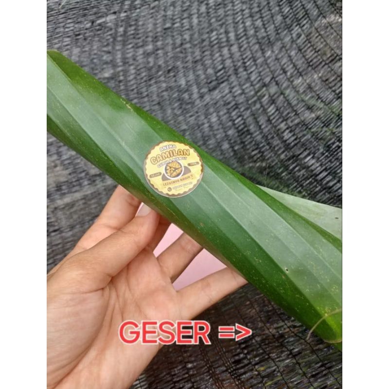 

BONGGOLAN IKAN KHAS GRESIK BY PAWON YAYA