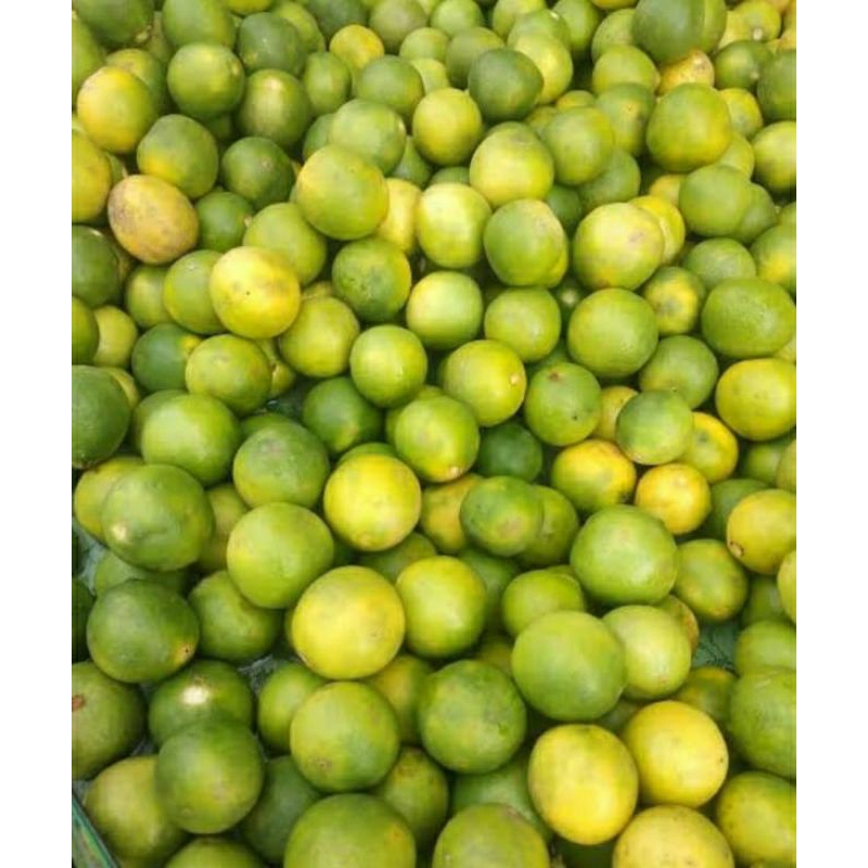 

jeruk nipis 500g