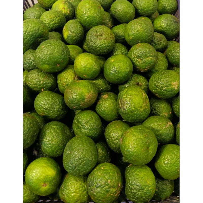 

jeruk limo segar 250gr