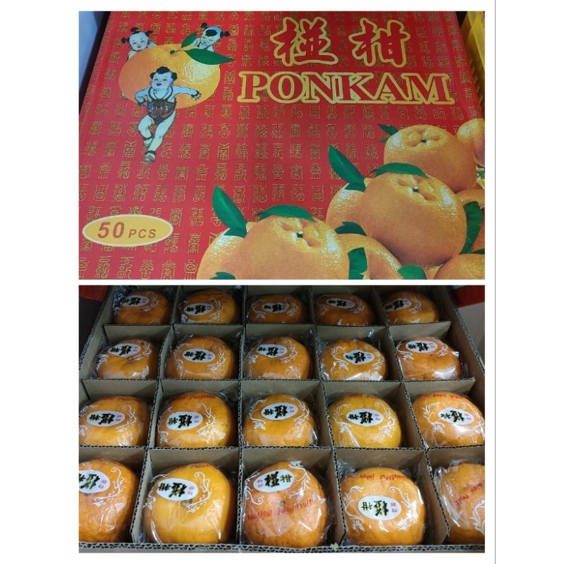 

Jeruk Ponkam Imlek isi 50/ktk Buah Jeruk Fresh Import Hampers CNY Kado