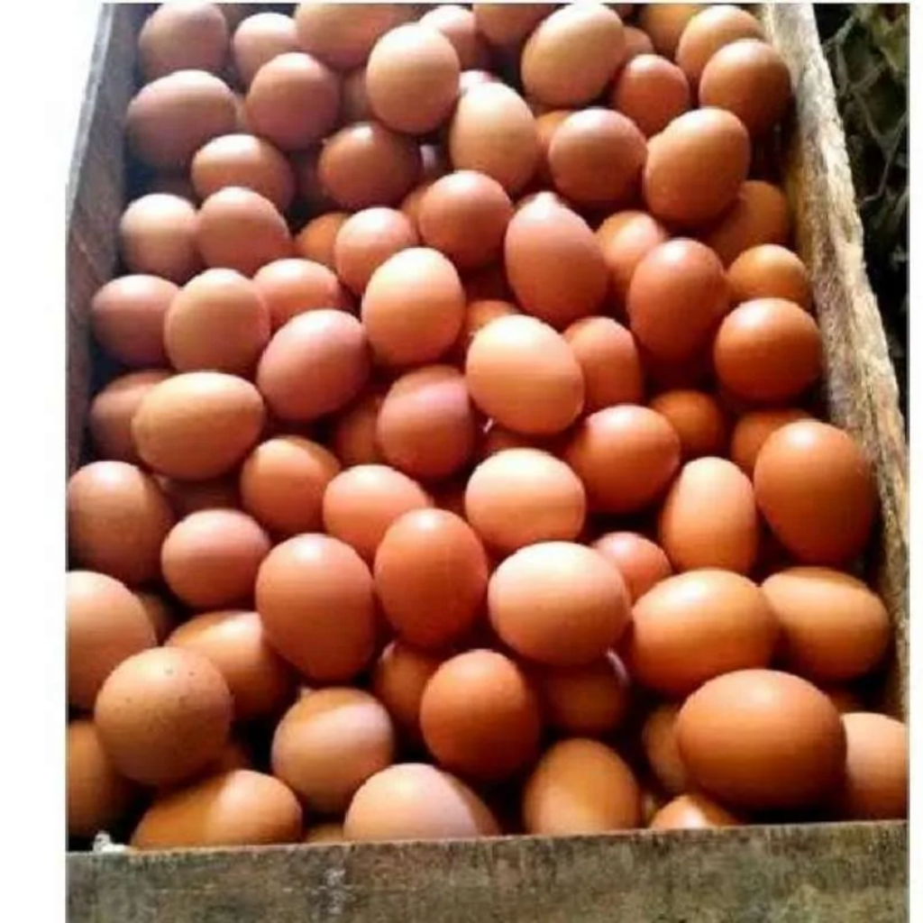 

telur 500gr ayam potong