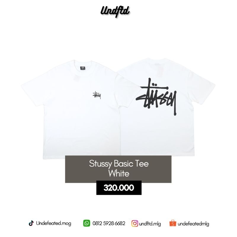 UD BASIC STUSSY TEE - WHITE