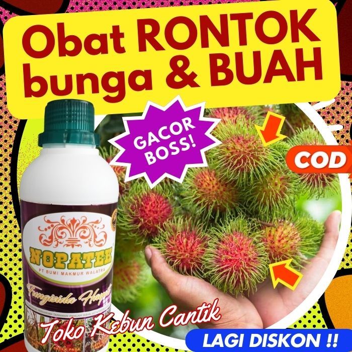 NOPATEK 500ML Fungisida Hayati untuk Tanaman Jeruk, Durian, Mangga, Pisang, Tomat, Melon, Jambu, Ram