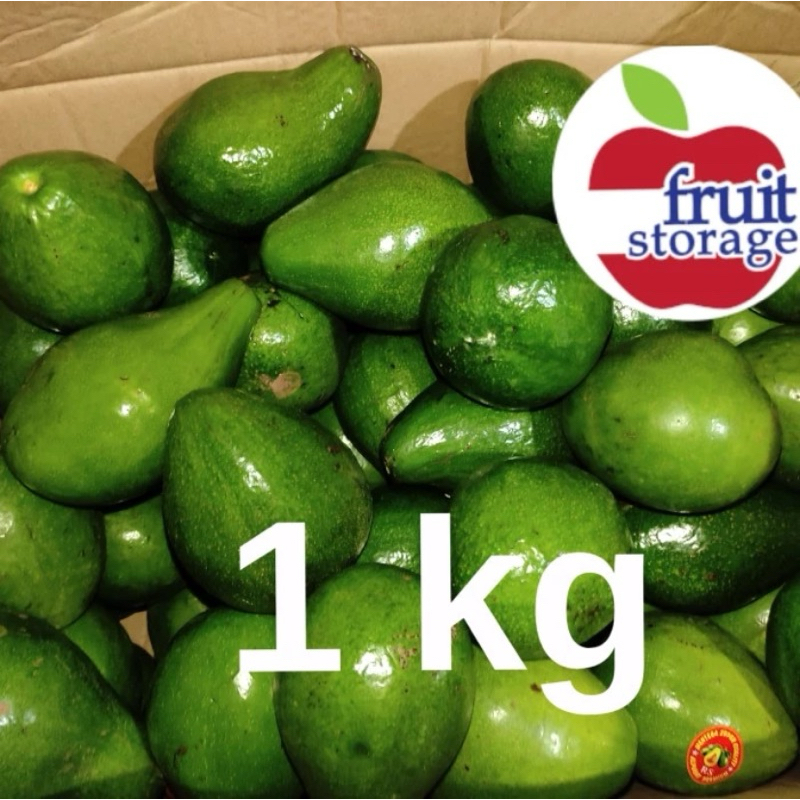 

Alpukat Mentega Super fresh buah lokal Avocado Alpokat