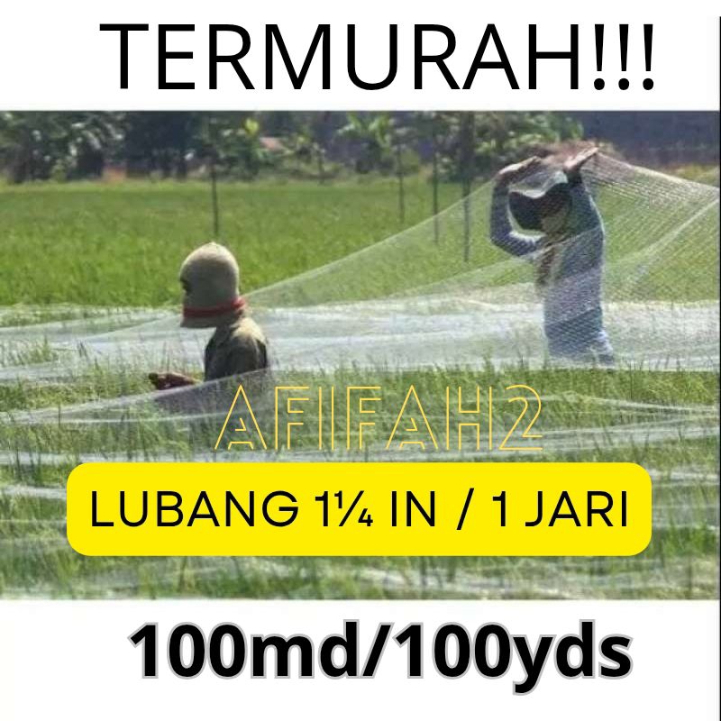 jaring sawah jaring burung lubang 1 jari jaring burung emprit jaring burung pipit lubang 1¼ inch
