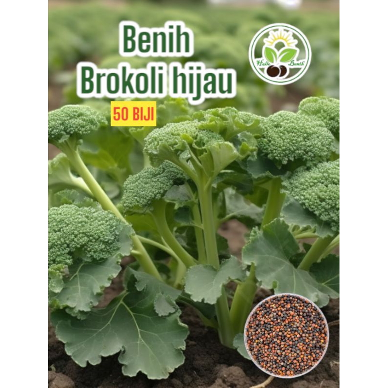 50BIJI~BENIH BROKOLI HIJAU