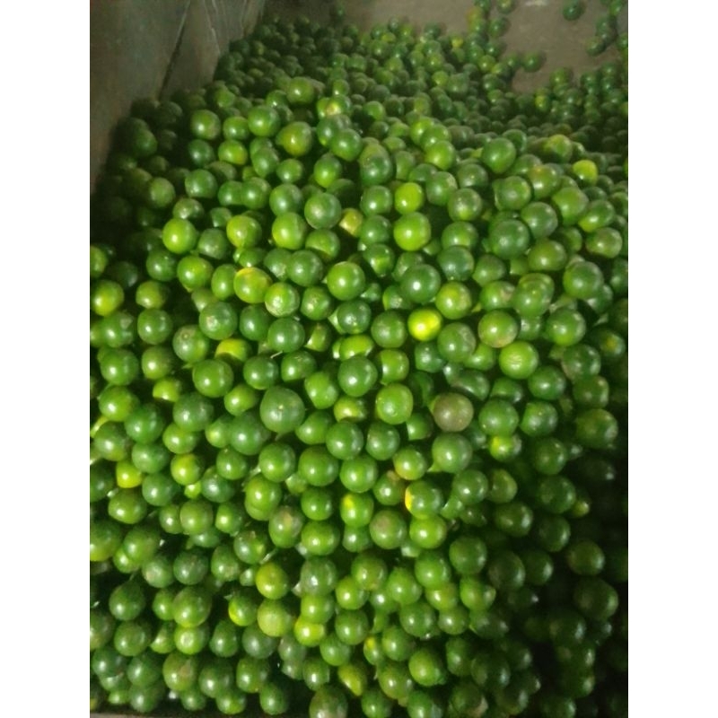 

Jeruk peras jawa super 1000gr