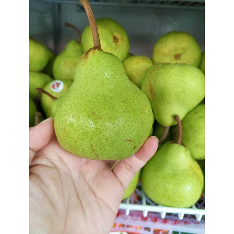 

Buah Pear Packham Hijau Fresh