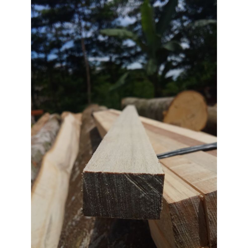 2x3 KAYU RENG PANJANG 75CM SOLID