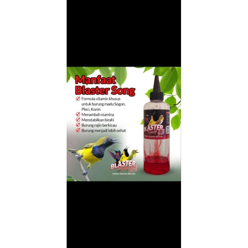 BLASTER SONG DOPING NEKTAR SOGON GACOR