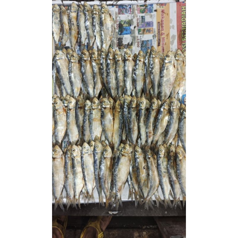 

ikan asin tamban sisik