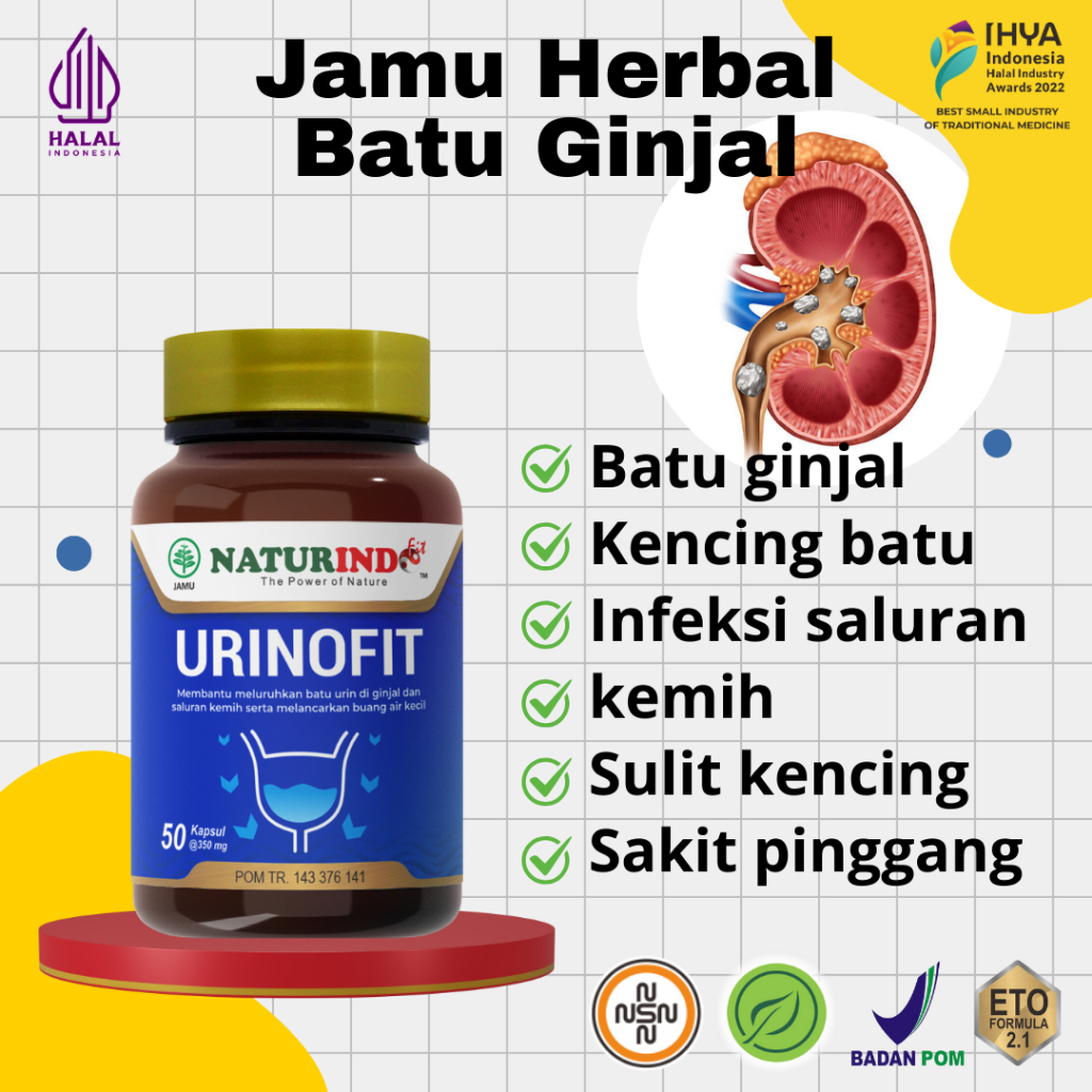 Herbal Obat Batu Ginjal Sakit Pinggang Batu Ginjal Urinofit Naturindo