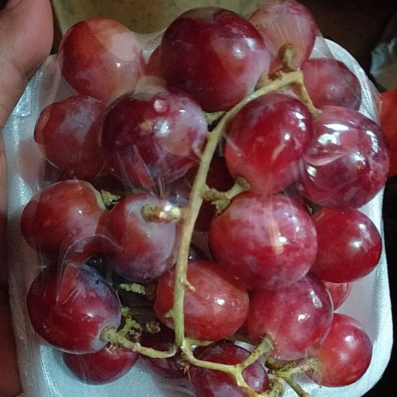 

buah anggur merah fres 250gr