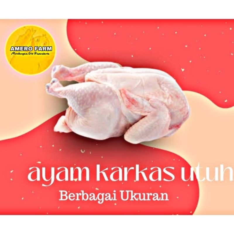 

ayam karkas fresh 950-1000g