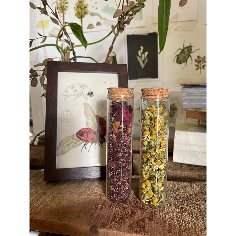

tea & tisane jar tube untuk souvenir