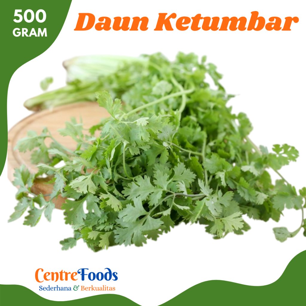 

DAUN Ketumbar - Wansui Coriander Fresh | 500gr [ Harga Per 0,5 Kg ]