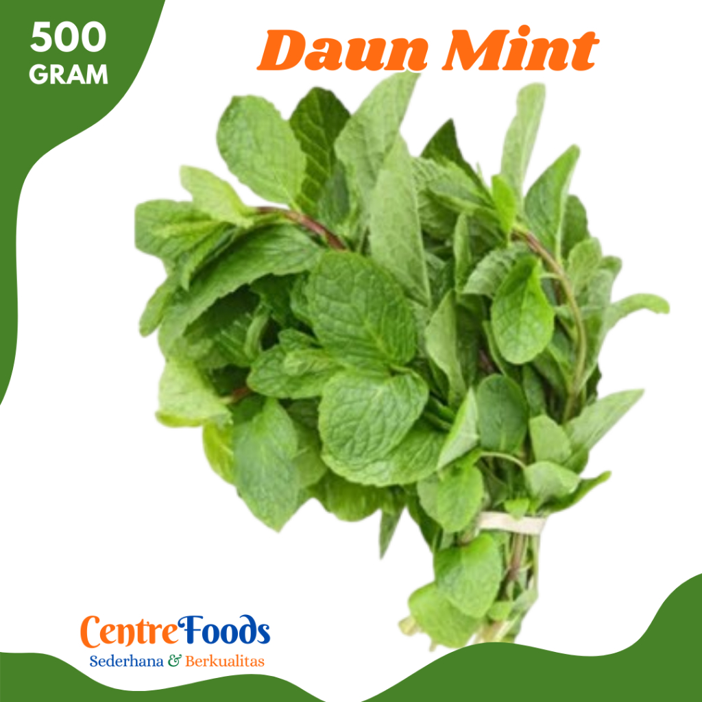 

DAUN Mint - Mint Leaf Fresh | 500gr [ Harga Per 0,5 Kg ]