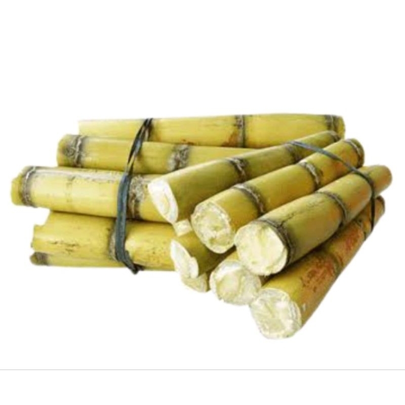 

tebu kuning manis segar 1kg