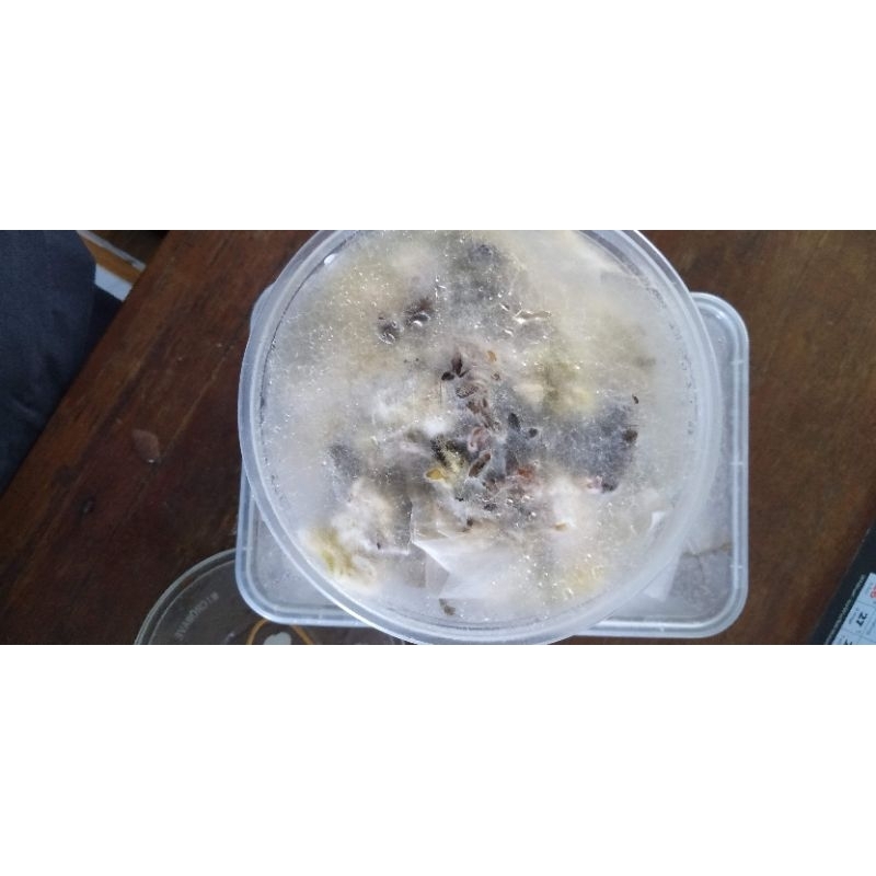 

Cendawan Mikoriza dan Tricodherma