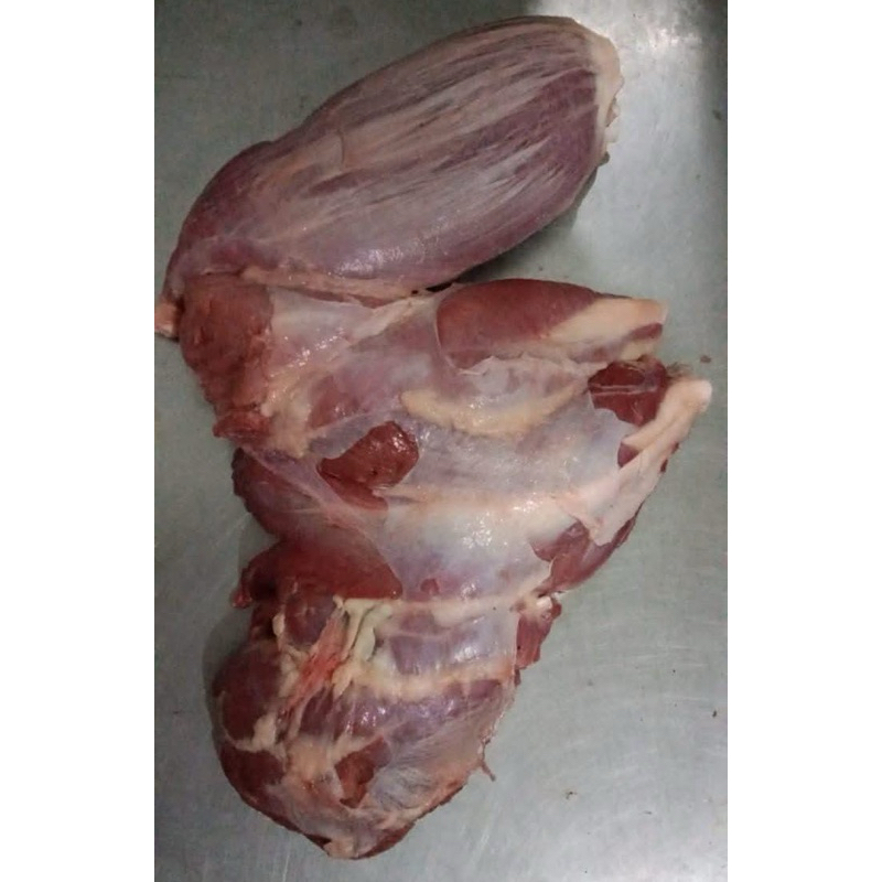 

shankle daging sapi gosend only