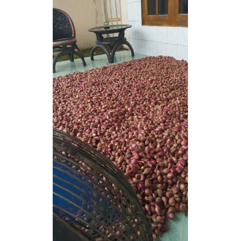 

Bawang Merah Kecil Fres kering 500 Gram