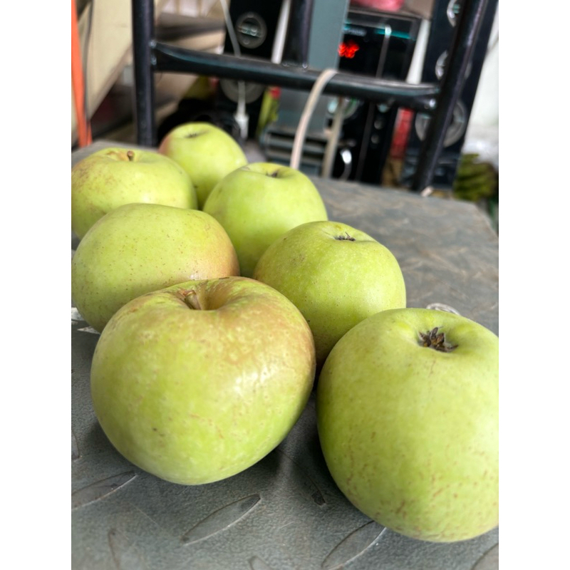 Apel Manalagi AB (1kg)/ isi 7-9 buah/ Apel Malang Fresh