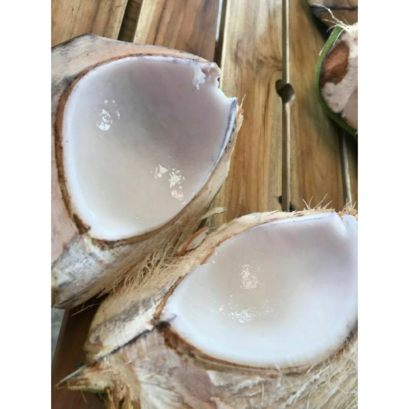 

kelapa muda hijau fresh seger perbiji