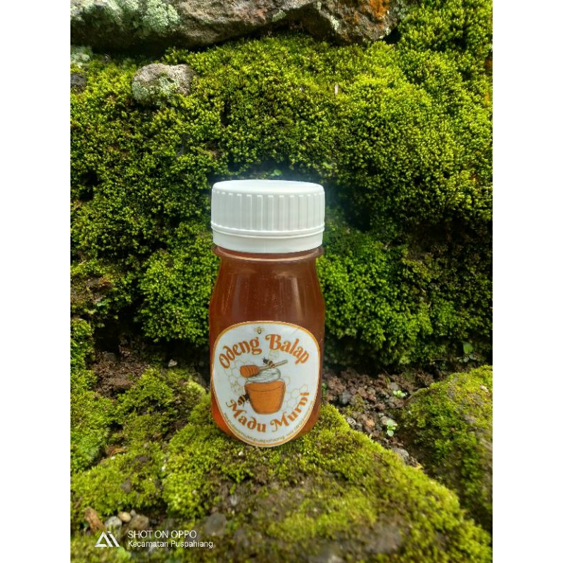 

madu Odeng Murni - Madu hutan Murni 30ml original