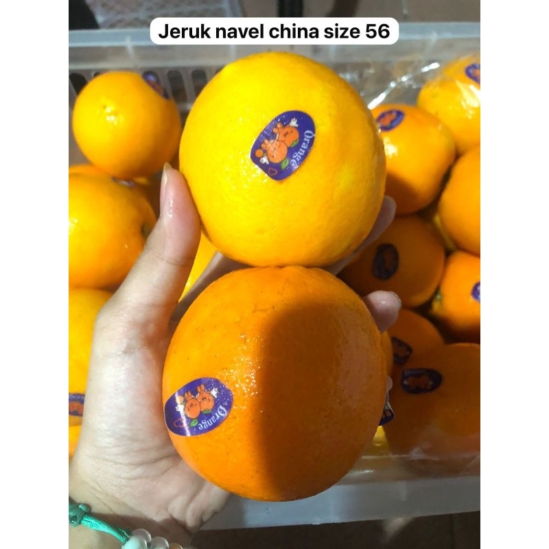 

jeruk navel China size 56. /kg