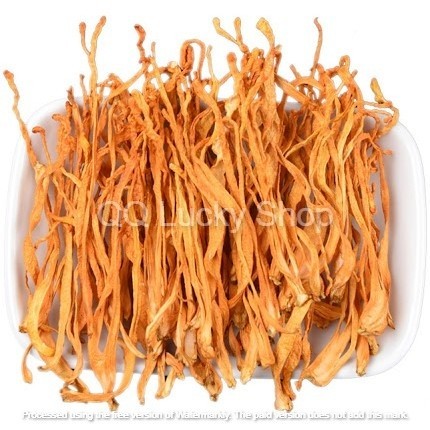 

Chong Cao Hua 虫草花 Cordyceps Flower - Jamur Bunga Cordyceps