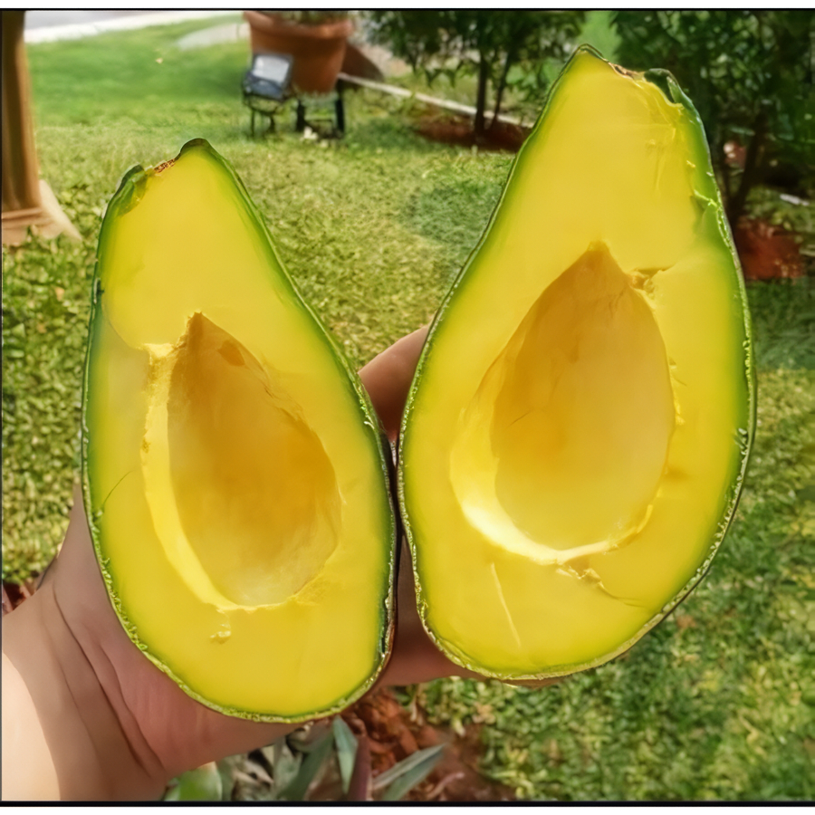 

Alpukat Mentega Premium isi 4 (1Kg) makanan sehat