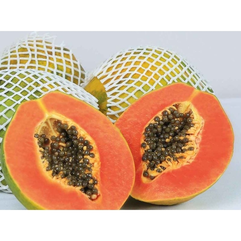 

Pepaya Hawai / Buah