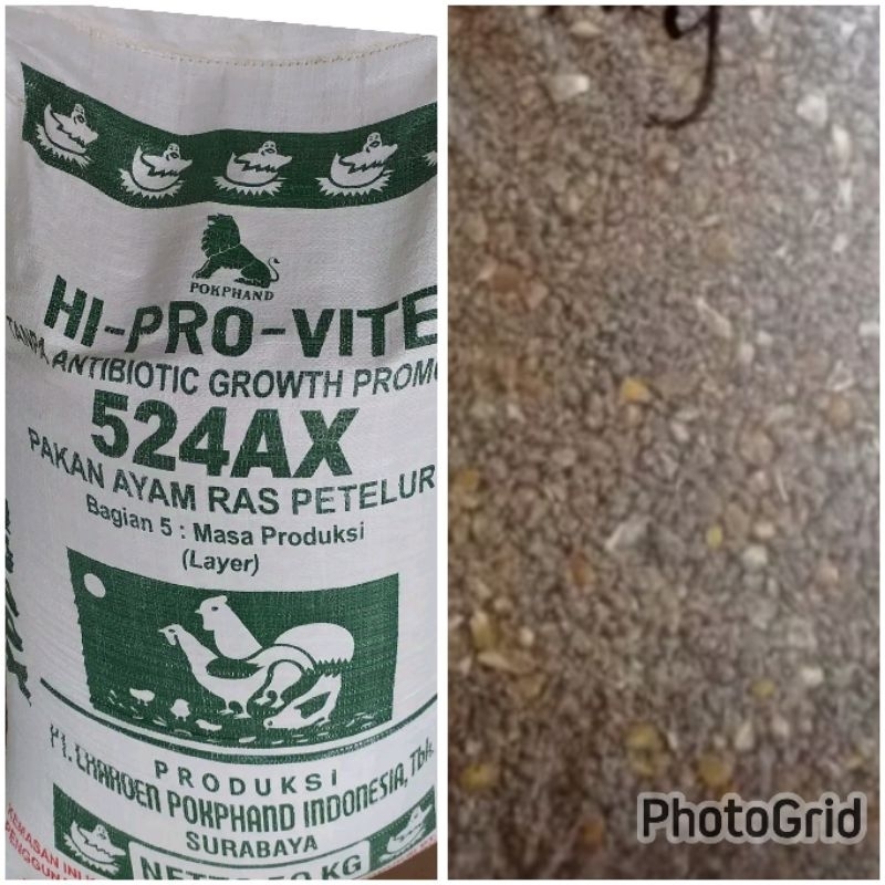 Hi pro vite pur ayam petelur pakan ayam ras petelur 524AX masa produksi