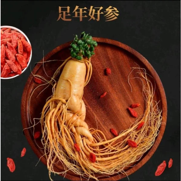 

Panax Ginseng Premium Asli