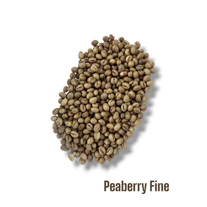 

Greenbean Peaberry Robusta Petik Merah 1 KG