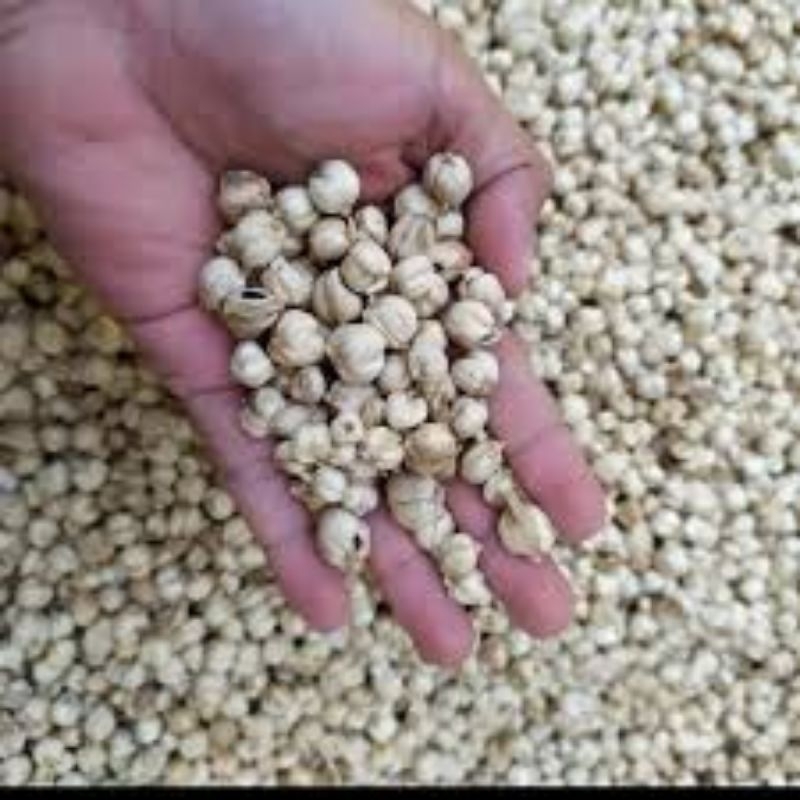 

kapulaga kering 500g