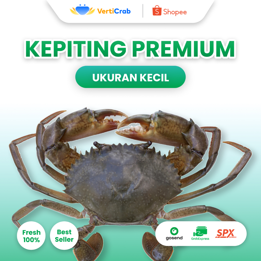 

KEPITING PREMIUM BERUKURAN KECIL