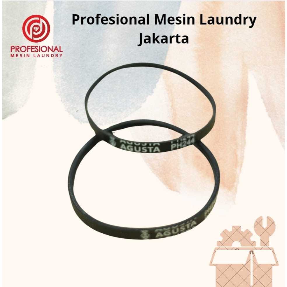 Vanbelt Dinamo Maytag MDG20MTGW