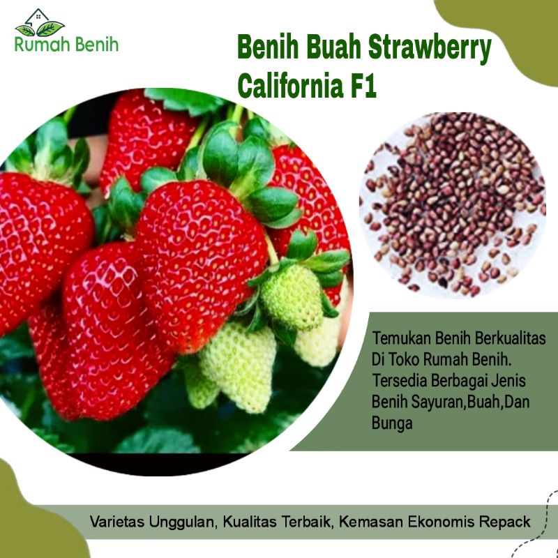 Benih Buah Strawberry Merah California F1 / Bibit Benih Strawberry Merah / Biji Benih Buah Strawberr