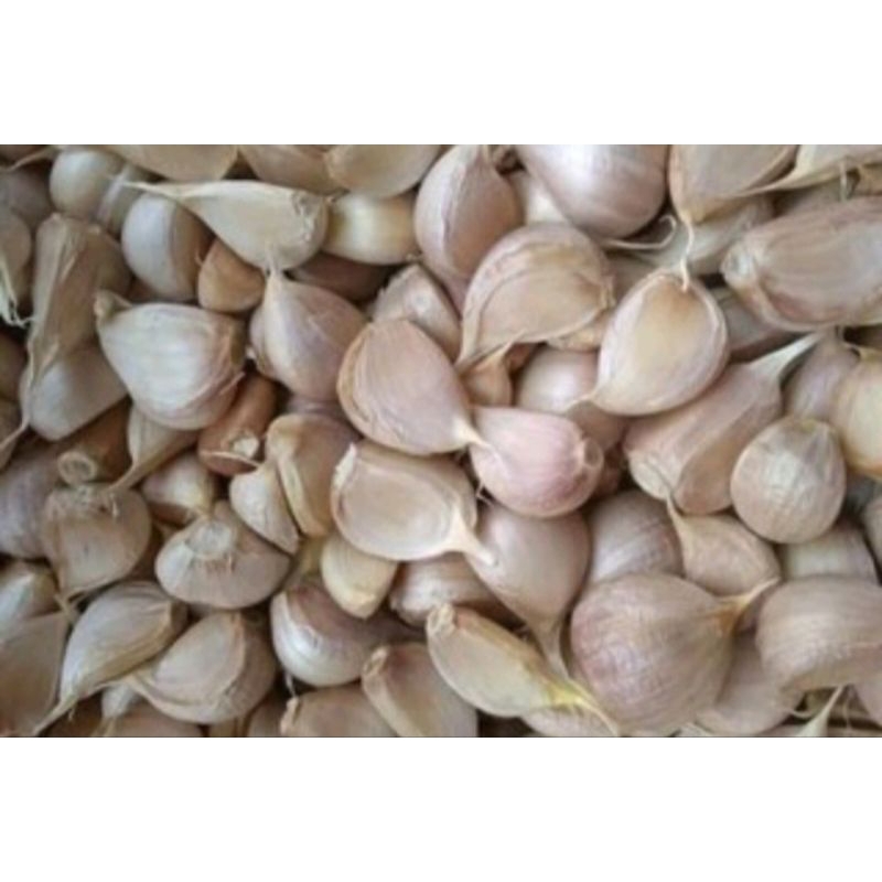 

Bawang Putih Cateng asli